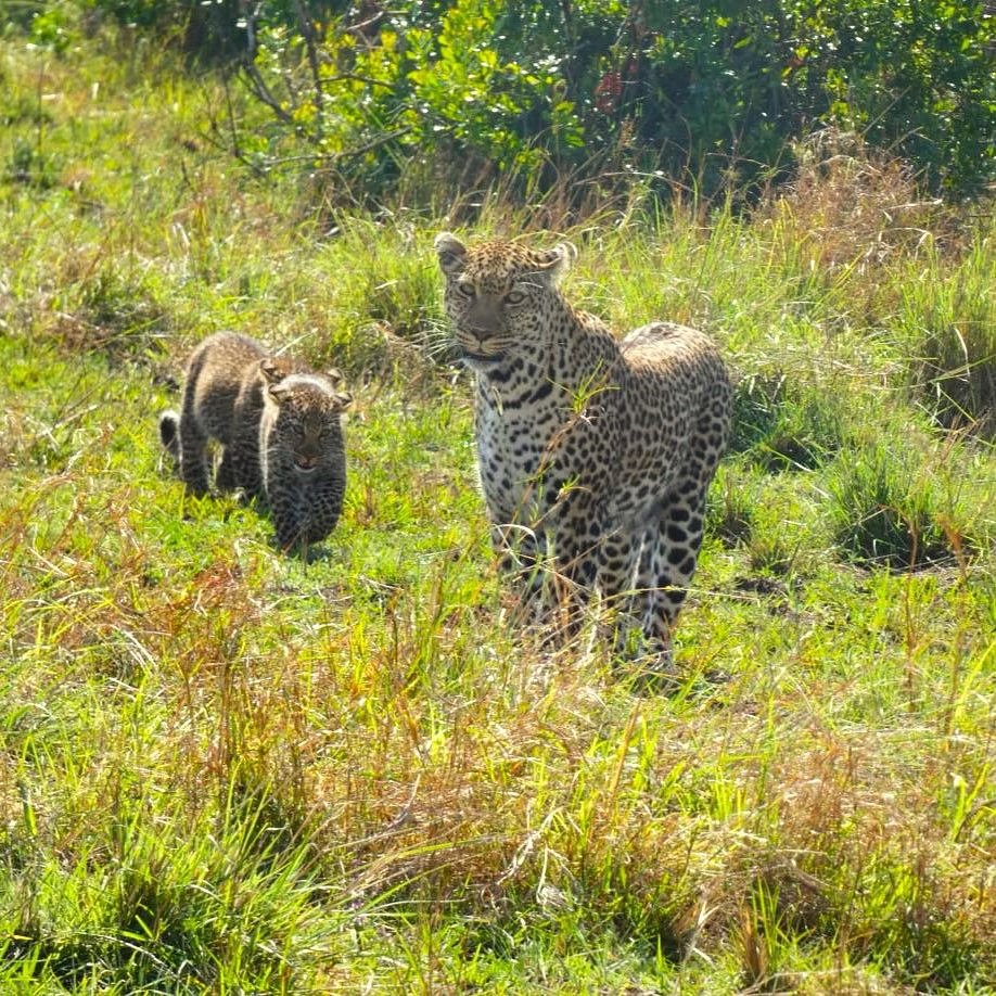 Why March Is a Hidden Gem Month to Visit the Maasai Mara
