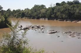 The Olare Orok River: The Hidden Heartbeat of Our Camp