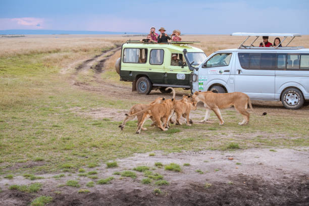 Family Safari in Kenya: How to Plan the Perfect Trip
