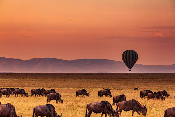 How to Get to Serenity Mara Legends Camp: Flights, Airstrips & Transfer Options