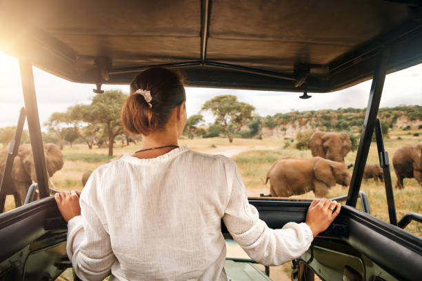Why the Maasai Mara Belongs on Your Bucket List