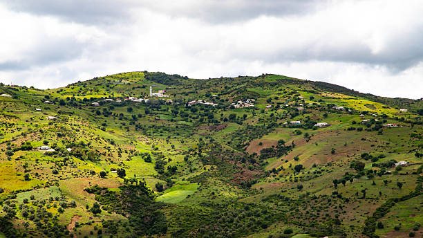 Kenya vs. Tanzania Safari: Why the Maasai Mara Belongs on Your Bucket List - The Great Rift Valley