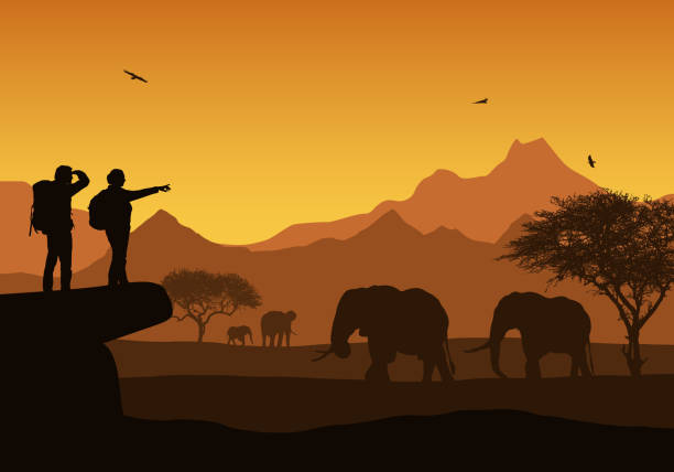 Sundowners in the Wild: The Magic of Evenings in The Mara