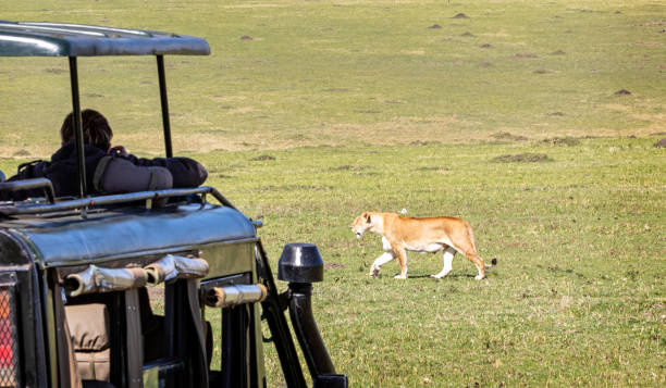 Solo Travel in Kenya: Why a Luxury Safari Is the Ultimate Solo Adventure