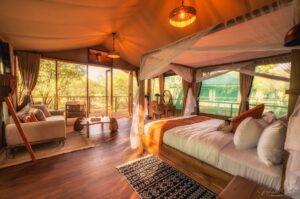 Romance in the Wild: Why the Maasai Mara Is the Perfect Honeymoon Destination