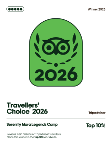 Travellers Choice 2026 Winner Certificate