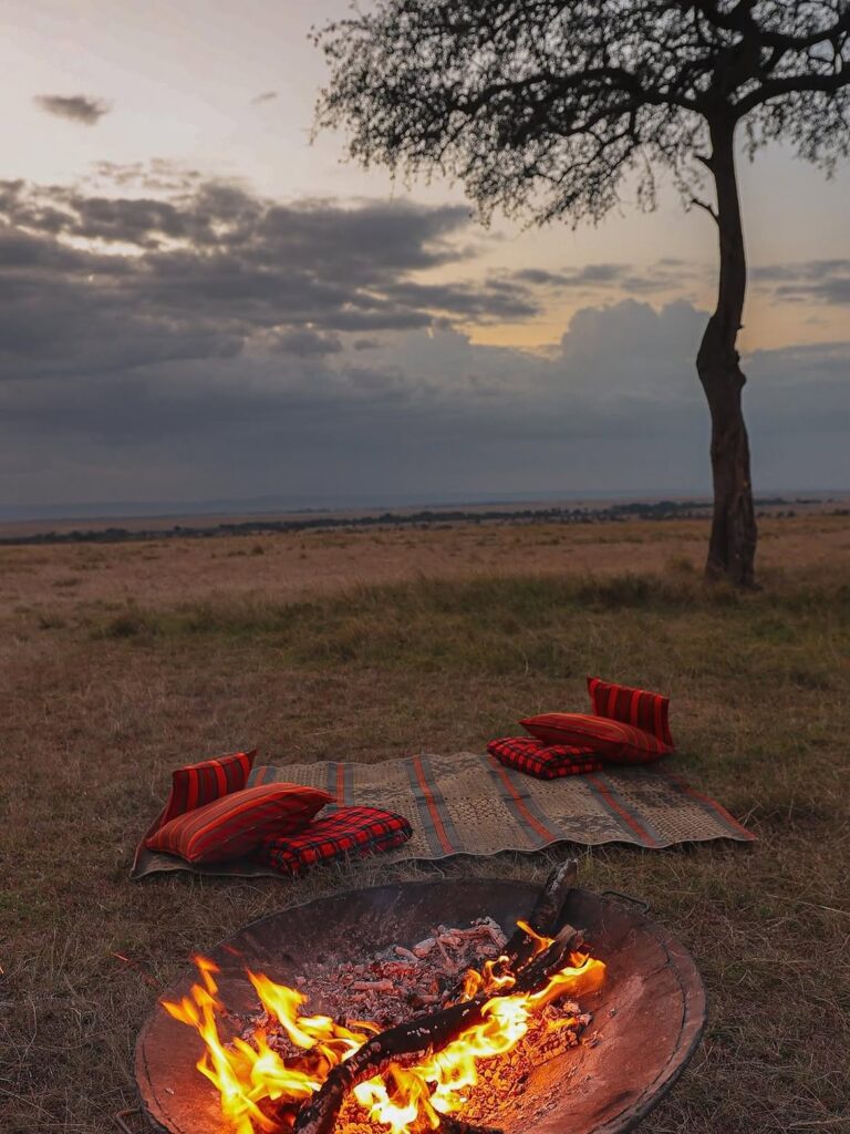 Romance in the Wild: Why the Maasai Mara Is the Perfect Honeymoon Destination