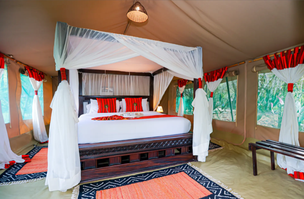 Forest view tent Forest view tent