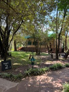 Serenity Mara Legends camp site 2