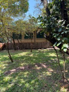 Serenity Mara Legends camp site